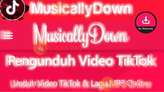 Musicallydown com Tiktok Video Downloader Tanpa Watermark Asli Work