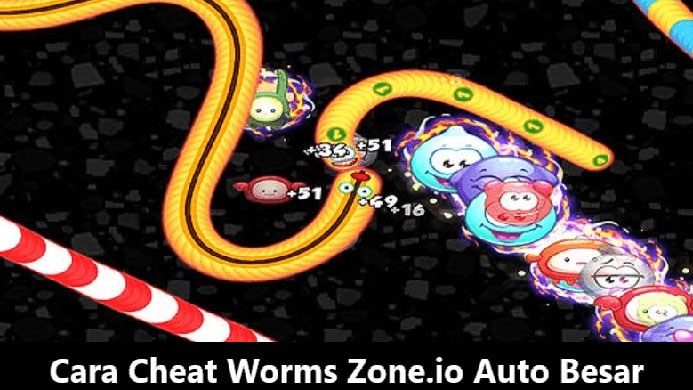 Cheat Cacing Worms Zone Langsung Besar